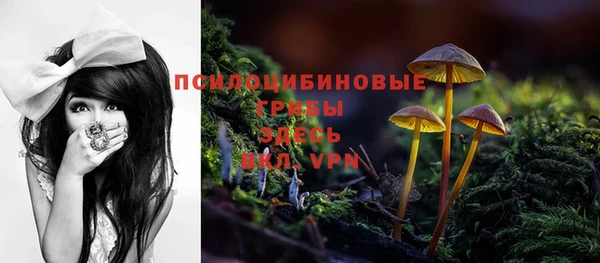 spice Белоозёрский