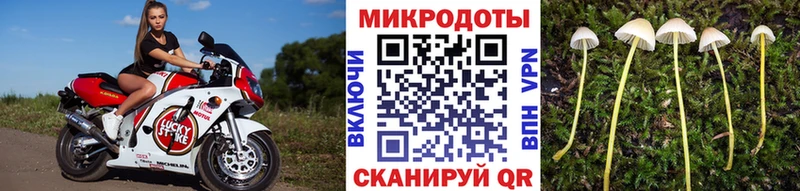 наркошоп  Малмыж  площадка наркотические препараты  Псилоцибиновые грибы Cubensis 