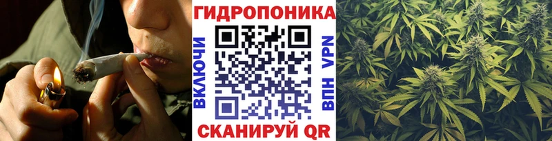 купить наркоту  Малмыж  Марихуана сатива 